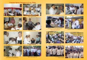 COCB-Annual-report-08-b-copy